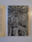 L'ART DE BOURGOGNE  de CHARLES OURSEL, 1953