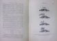 LE FUSIL DE CHASSE „HAMMERLESS” de W.W. GREENER (1910)