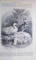 LE MAGASIN PITTORESQUE SOUS DIRECTION de M. EDOUARD CHARTON , TRENTIEME ANNE , 1862