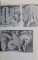 LE MOYEN AGE ROMAN / GOTHIQUE par HENRI FOCILLON , 1938