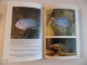 LE NOUVEAU MANUEL DE L'AQUARIUM de THIERRY MAITRE - ALLAIN , 1992
