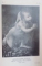 LE PIANTE E GLI ANIMALI IN LEONARDO DA VINCI di GIAMBATTISTA DE TONI  1922