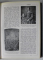 LE SIGNORE ITALIANE :  MEDICI...ANGIONI  di ETTORE ALLODOLI , 1930, LEGATURA PIELE , COTOR LIPIT CU BANDA ADEZIVA , TEXT IN LB, ITALIANA ,