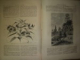 LE TOUR DU MONDE, NOUVEAU JOURNAL DES VOYAGES- M. EDOUARD CHARTON, DEUXIEME SEMESTRE 1865, LEIPZI