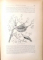 LES ARTS ET METIERS CHEZ LES ANIMAUX par HENRI COUPIN, DEUXIEME EDITION , 1903