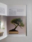 LES BONSAI , GUIDE VERT SOLAR de GIANFRANCO GIORGI, 1998