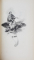 LES EVANGILES DE NOTRE SEIGNEUR JESUS - CHRIST , VIGNETTES par THEOPHILE FRAGONARD ,  1837