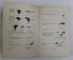 LES OISEAUX DE L ' EST DU CANADA , DEUXIEME EDITION par P. A. TAVERNER , 1922