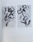 LIOUBOV POPOVA par NATALIA ADASKINA et DIMITRI SARABIANOV , 1989