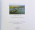 LUMINA DINTE APE - MANASTIREA CERNICA de ARHIMANDRIT MACARIE CIOLAN , 2010