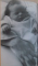 MA GROSSESSE MON ENFANT, LE LIVRE DE LA FEMME ENCEINTE de PR FRYDMAN, COHEN - SOLAL, ILLUSTRATIONS de CHRISTIANE SCHAEFFER, 1990