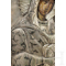 Maica Domnului cu Pruncul, Icoana cu Ferecatura din Argint, cca. 1900