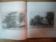 MARTURIA UNEI EPOCI . DESENE de ARY MURNU , 2013