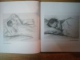 MARTURIA UNEI EPOCI . DESENE de ARY MURNU , 2013