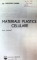 MATERIALE PLASTICE CELURARE,BUCURESTI 1978-GHEORGHE MANEA