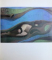 MAX ERNST 1950 -1976 - DIE RUCKKEHR DE SCHONEN GARTNERIN von WERNER SPIES, 1971