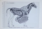 MAX ERNST  - ZEICHNUNGEN , AQUARELLE , UBERMALUNGEN , FROTTAGEN von WINFRIED KONNERTZ , 1980