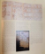 MAYA , DIVINE KINGS OF THE RAIN FOREST EDITED by NIKOLAI GRUBE , 2006