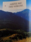 MAYA , DIVINE KINGS OF THE RAIN FOREST EDITED by NIKOLAI GRUBE , 2006