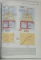 MEDICAL PHYSIOLOGY , A CELLULAR AND MOLECULAR APPROACH by WALTER F. BORON and EMILE L. BOULPAEP , 2009