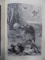 Meisterwerke der holzscheidekunst, Capodoperele xilogravurii, Leipzig 1886