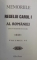 MEMORIILE REGELUI CAROL I AL ROMANIEI ( DE UN MARTOR OCULAR ) PARTEA A II -A , VOL. V- VIII