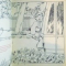 MICUL PIETON de CONSTANTIN GRADIARU, ILUSTRATII de DUMITRU RISTEA, CARTE DE COLORAT, 1981