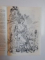 MISTERUL DIN LACUL NUFERILOR de DOINA CETEA , ILUSTRATII de ION DRAGHICI , 1990