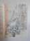 MISTERUL DIN LACUL NUFERILOR de DOINA CETEA , ILUSTRATII de ION DRAGHICI , 1990