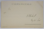 MOARA LA TARA , DESEN , ANCADRAMENT FLORAL , CROMOLITOGRAFIE , CARTE POSTALA , CLASICA