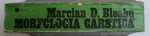 MORFOLOGIA CARSTICA - CONDITIONAREA GEOLOGICA SI GEOGRAFICA A PROCESULUI DE CARSTIFICARE de MARCIAN D. BLRAHU , 1974