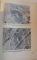 MORFOLOGIA SI PATOLOGIA TESUTULUI CONJUNCTIV, 1983