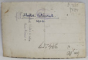 MUNCITORI LA O CRESCATORIE DE PASTRAVI , ZONA DEZNA , ARAD , FOTOGRAFIE TIP CARTE POSTALA , 1928