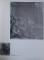 MUSEE DE LOUVRE  - NOUVELLES  ACQUISITIONS DU DEPARTEMENT DE PEINTURES 1983 - 1986 , sous la direction de JACQUES FOUCART , 1987