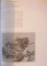 MUSEO MORANDI - CATALOGO GENERALE / COMPLETE ILLUSTRATED CATALOGUE, 2004