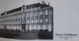 MUZEUL DE ARTA TIMISOARA 2019 - DORIN COLTOFEANU , FUNDATIA JEAN LOUIS CALDERON , GALERIILE  CORNEL FLOREA