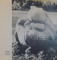 NATURA SCULPTEAZA ,1984