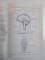 NEUROANATOMIE , VOL. I , INTRODUCERE IN NEUROANATOMIA FUNCTIONALA , ANATOMIA MACROSCOPICA SI SECTIONALA de TRAIAN TRANDAFIR , 1996