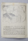 NICOLAE IORGA - PORTRET - CU UN DESEN de EDUARD SBIERA , 1929 , EXEMPLAR SEMNAT *