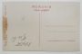 NICOLAE SOREANU ( 1873 -1950 ) , ACTOR ROMAN DE TEATRU , IN PARDESIU , CU TIGARA , FOTOGRAFIE TIP CARTE POSTALA , INTERBELICA