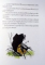 NOI AVENTURI CU PADDINGTON de MICHAEL BOND,ILUSTRATII de PEGGY FORTNUM , 2015