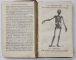 NOTIONS ELEMENTAIRES D ' HISTOIRE NATURELLE par G. DELAFOSSE , ZOOLOGIE , 1875