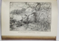 O ESPEDITIE ROMANA IN AFRICA de DIMITRIE N. GHICA COMANESTI - BUCURESTI, 1897