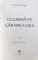 O LUMINA PE CARAREA MEA de LYNN AUSTIN  - ROMAN DIN SERIA FOCULUI TOPITORULUI , 2009