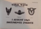 O MISIUNE IREPETABILA , TIDAL WAVE , VALUL NIMICITOR , 1 AUGUST 1943 - DOCUMENTE INEDITE