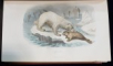 OEUVRES COMPLETES DE BUFFON, AVEC DES EXTRAITS DE DAUBENTON, TOM IV - PARIS, 1854