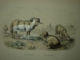 OEUVRES COMPLETES DE BUFFON, TOM VI, BRUXELLES, 1852