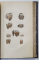 OEUVRES COMPLETES DE BUFFON, VOL . 9, MINERALELE - PARIS, 1853