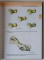 OLD AND NEW APPROACHES AND TECHNIQUES FOR FRACTURE REPAIR IN SMALL ANIMAL ( AN ORIGINAL WATERCOLOR ATLAS ) by GHEORGHE M. CONSTANTINESCU ... RAFAEL LATORRE , 2023