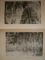OLTENIA GEOGRAFIE ISTORICA IN HARTILE SECOLULUI XVIII de DR. ANA TOSA TURDEANU , Craiova 1975